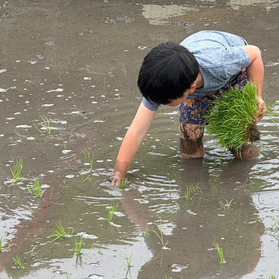 子どもたちと田植え！！